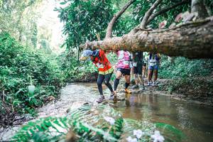 BIB: 
                            <button type="button" onclick="openModal(25469399)" class="btn btn-primary btn-sm float-right btn-popup" data-toggle="modal" data-target=".modal-high-quality">
                        <i class="fas fa-shopping-cart"></i> Add to Cart
                    </button>
                                            <button type="button" onclick="isThisMe(25469399, true)" class="btn btn-success btn-sm float-right btn-popup btn-isme hidden" data-toggle="tooltip" data-placement="bottom" title="นี่คือรูปของคุณใช่ไหม คลิกที่นี่เพื่อเอาเข้าอัลบั้ม">
                        <i class="fas fa-plus"></i> Add to album
                    </button>
                    <button type="button" onclick="isThisMe(25469399, false)" class="btn btn-warning btn-sm float-right btn-popup btn-isnotme hidden">
                        <i class="fas fa-ban"></i> Remove from album
                    </button>